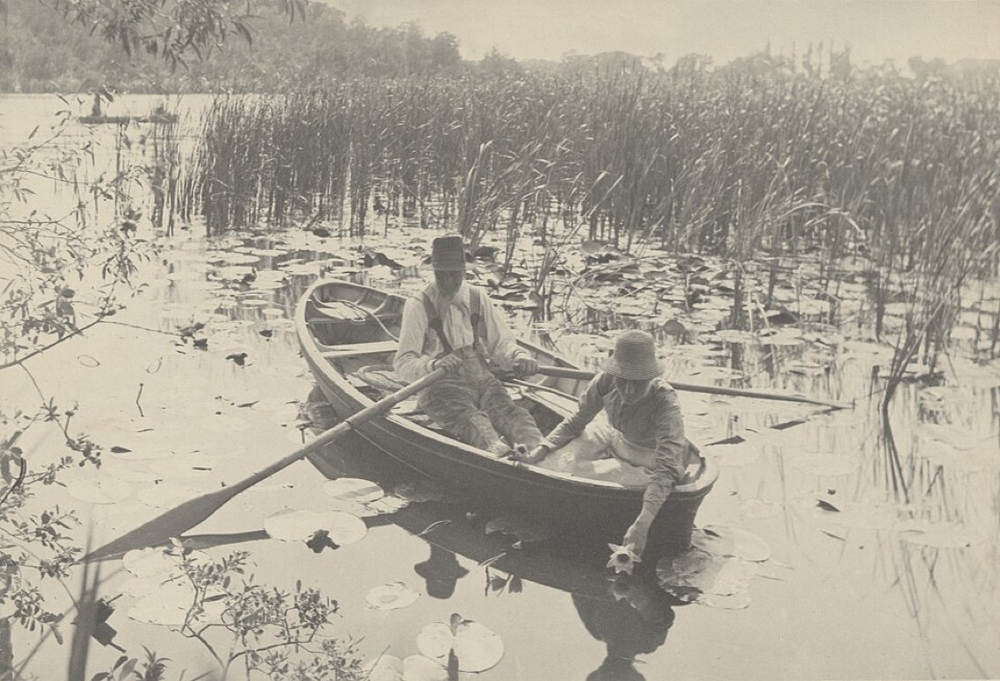 Gathering Water-Lilies, Emerson, 1886